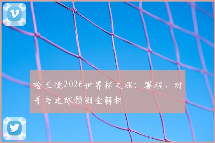 哈兰德2026世界杯之旅：赛程、对手与进球预测全解析