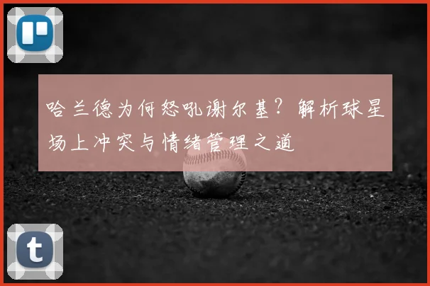 哈兰德为何怒吼谢尔基?解析球星场上冲突与情绪管理之道